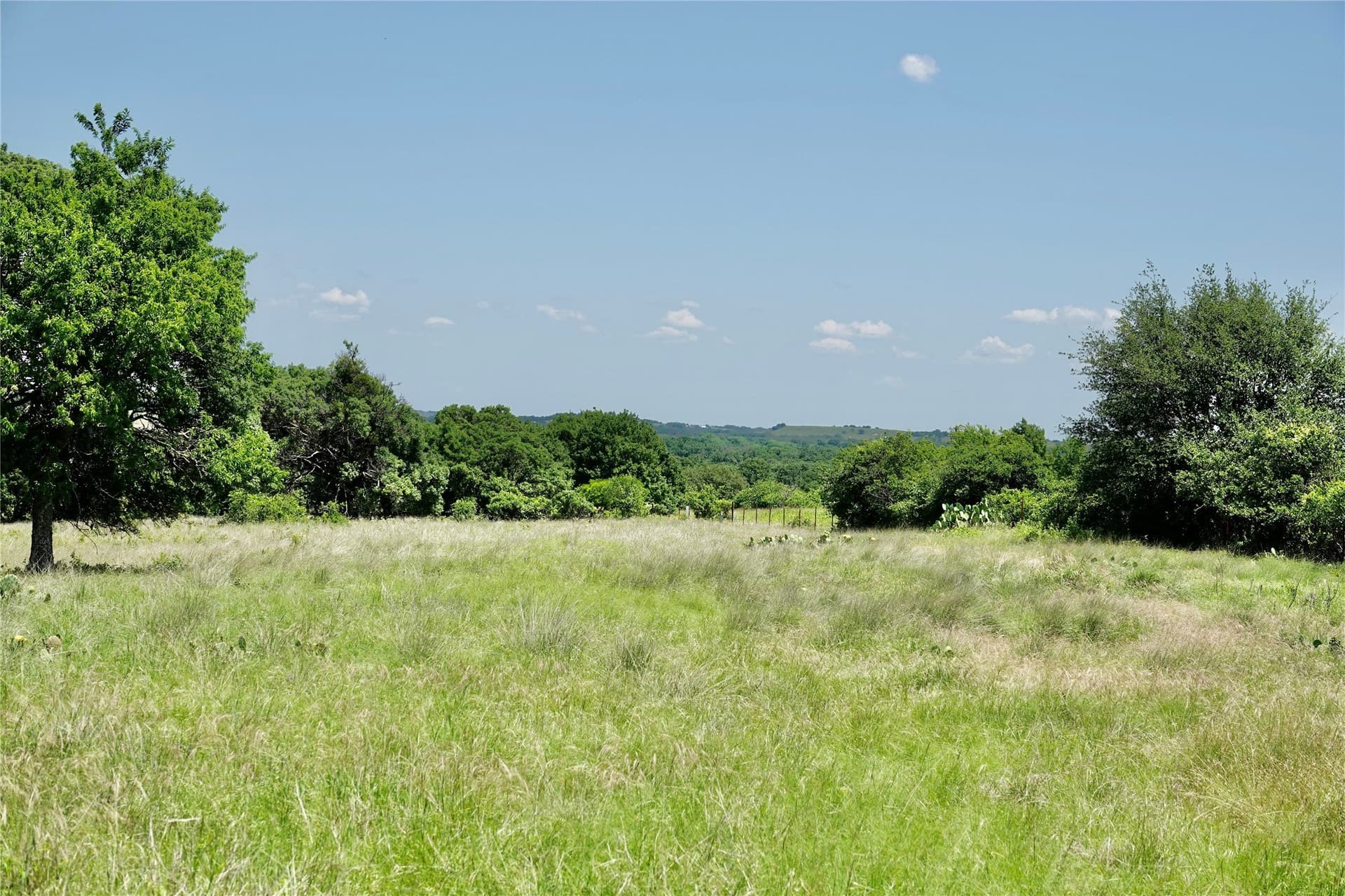 34 acres in Mills County - photo 12