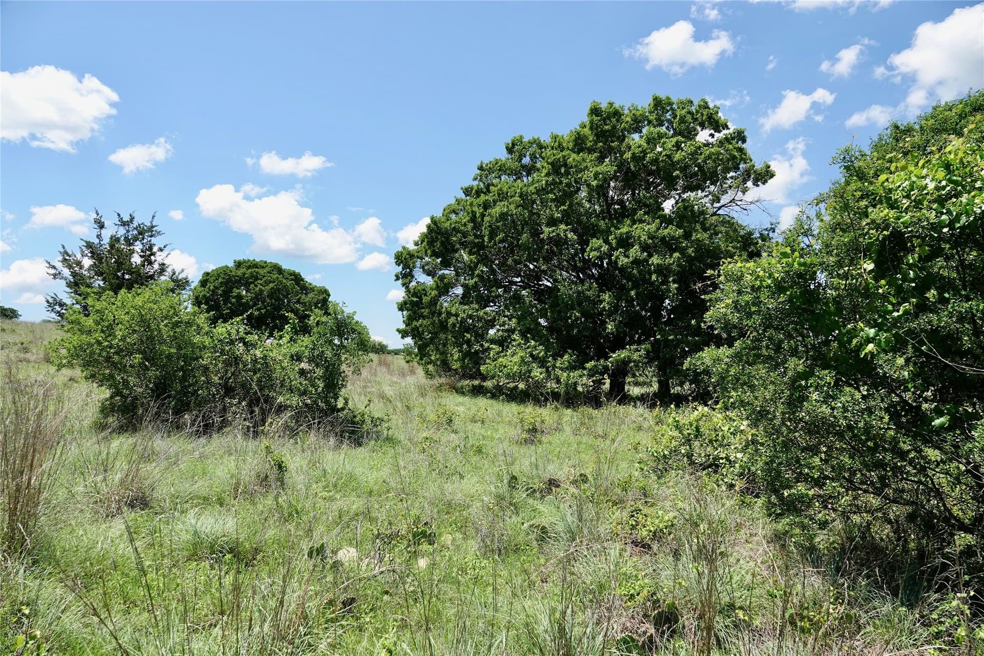 34 acres in Mills County - photo 24