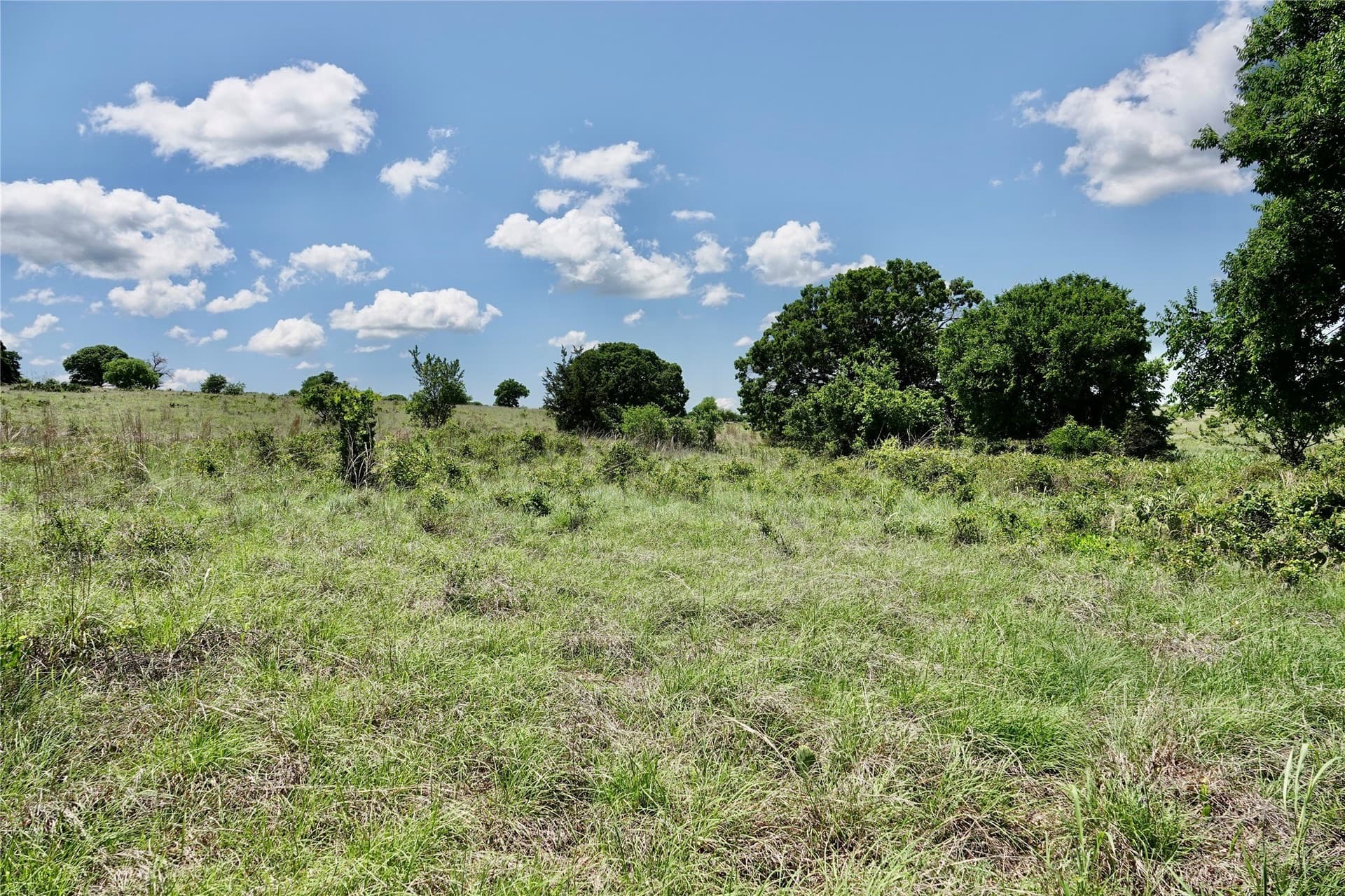 34 acres in Mills County - photo 25