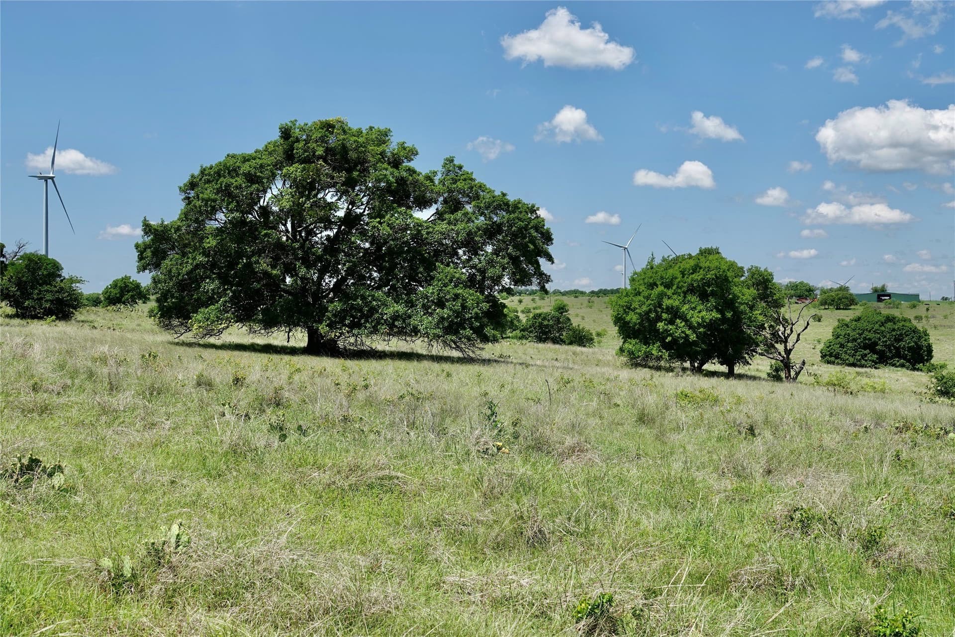 34 acres in Mills County - photo 17