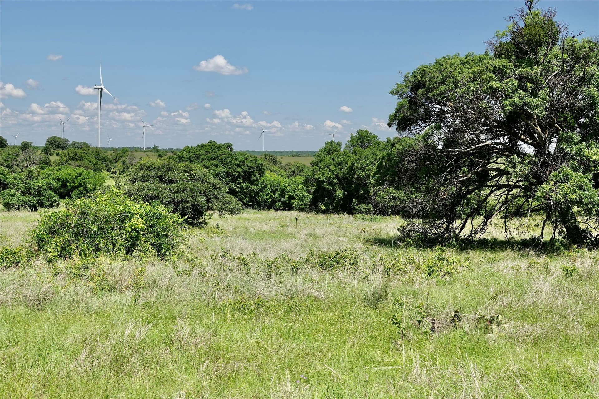34 acres in Mills County - photo 15