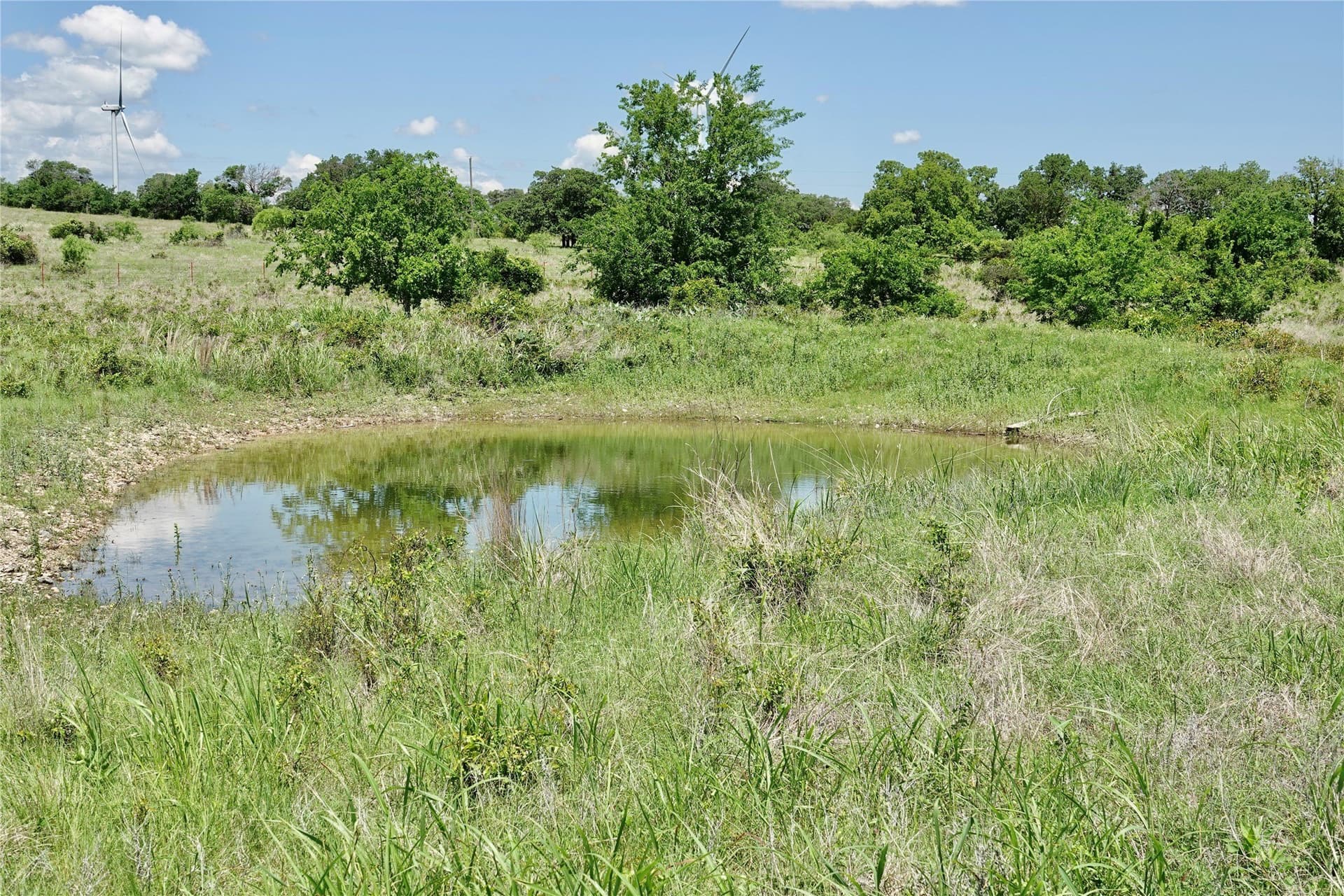 34 acres in Mills County gallery image 2