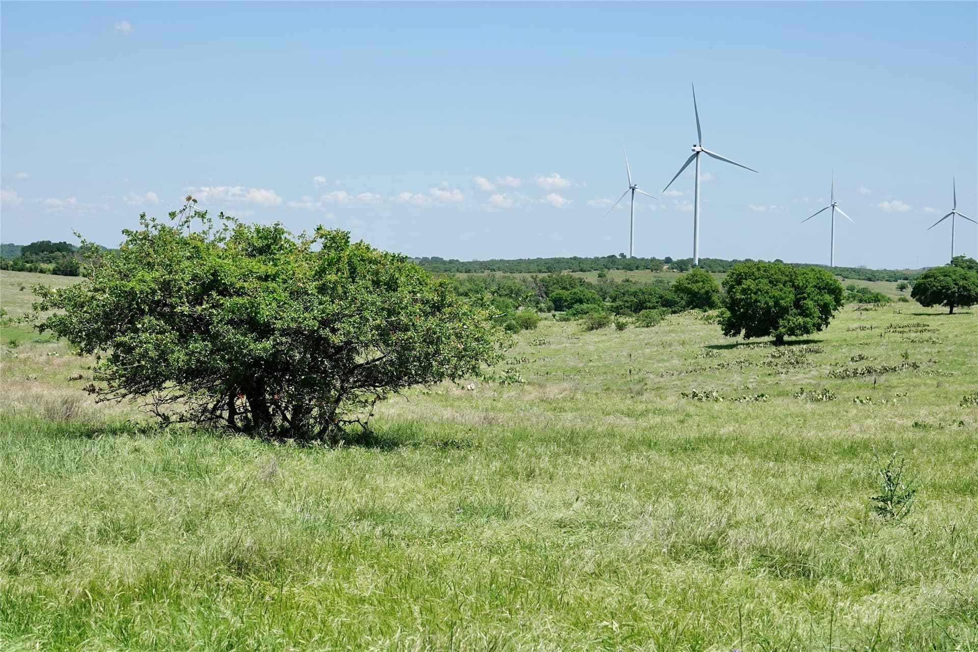 34 acres in Mills County - photo 8