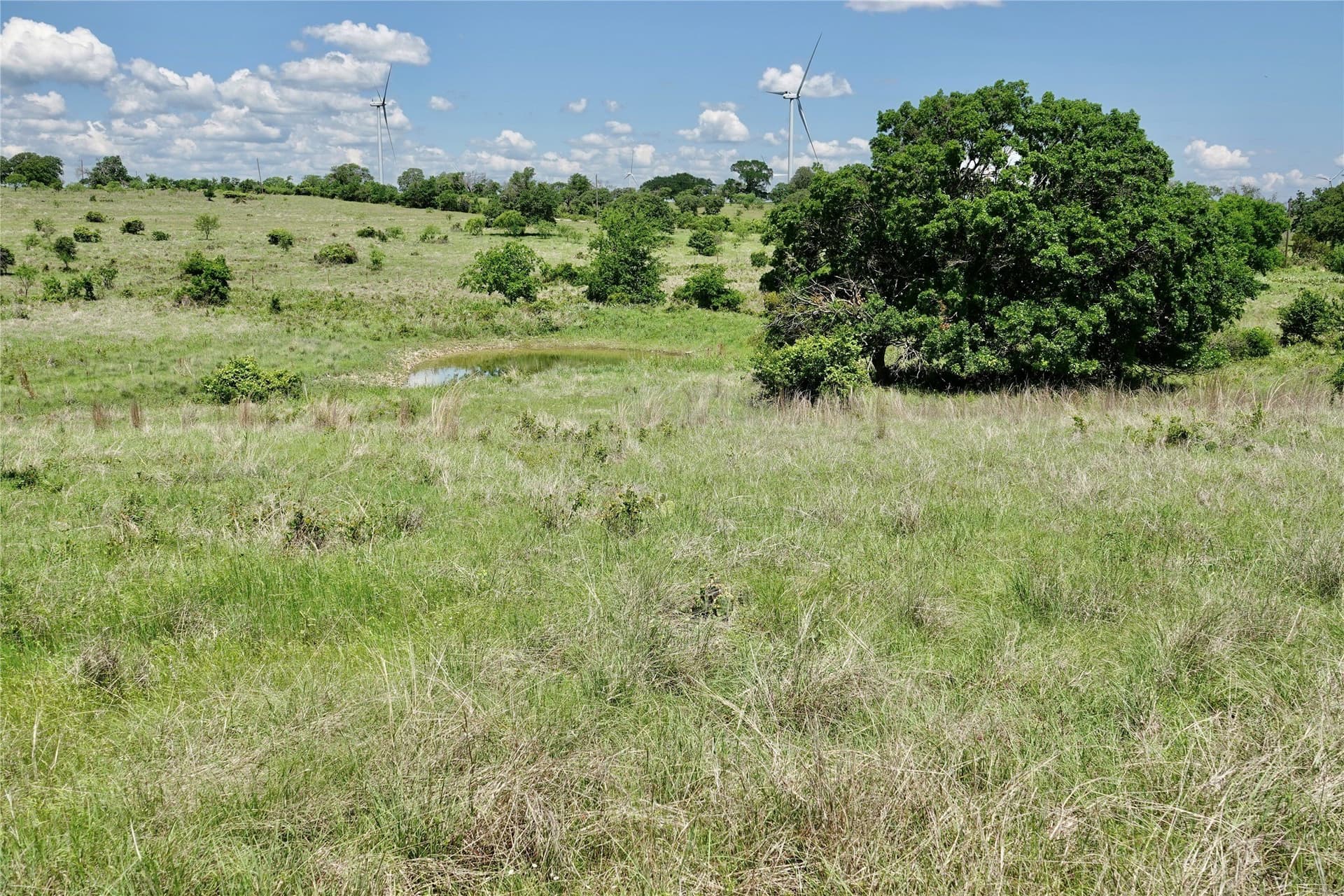 34 acres in Mills County - photo 23