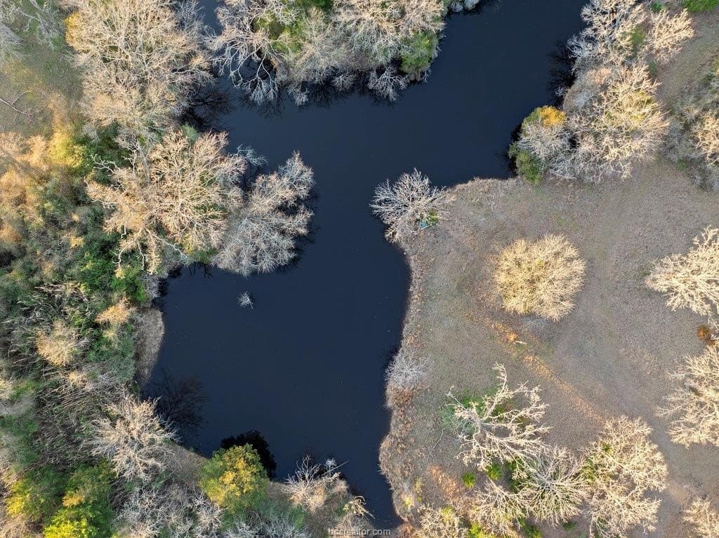 25 acres in Brazos County gallery image 3