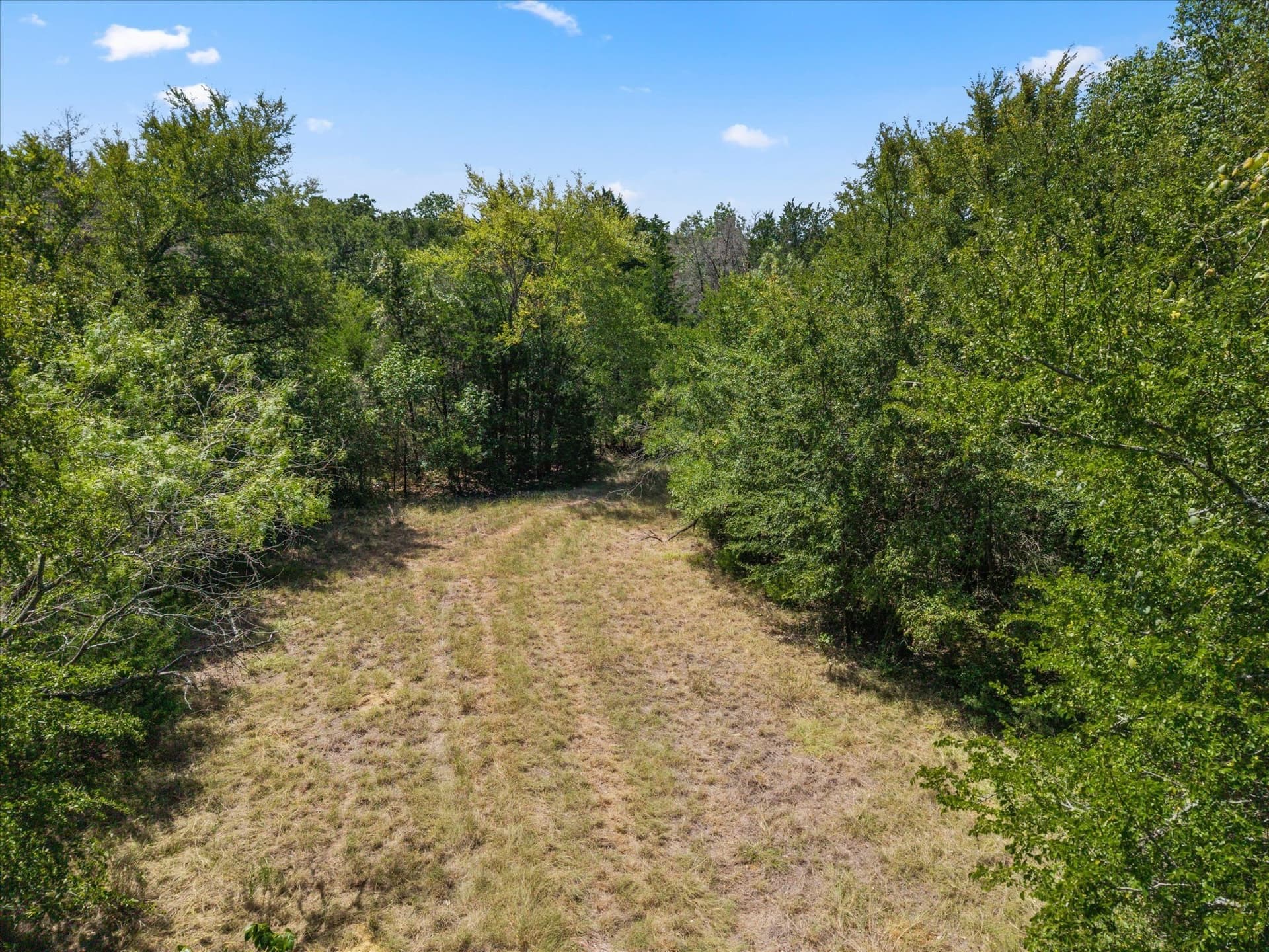 6.75 acres in Navarro County - photo 4