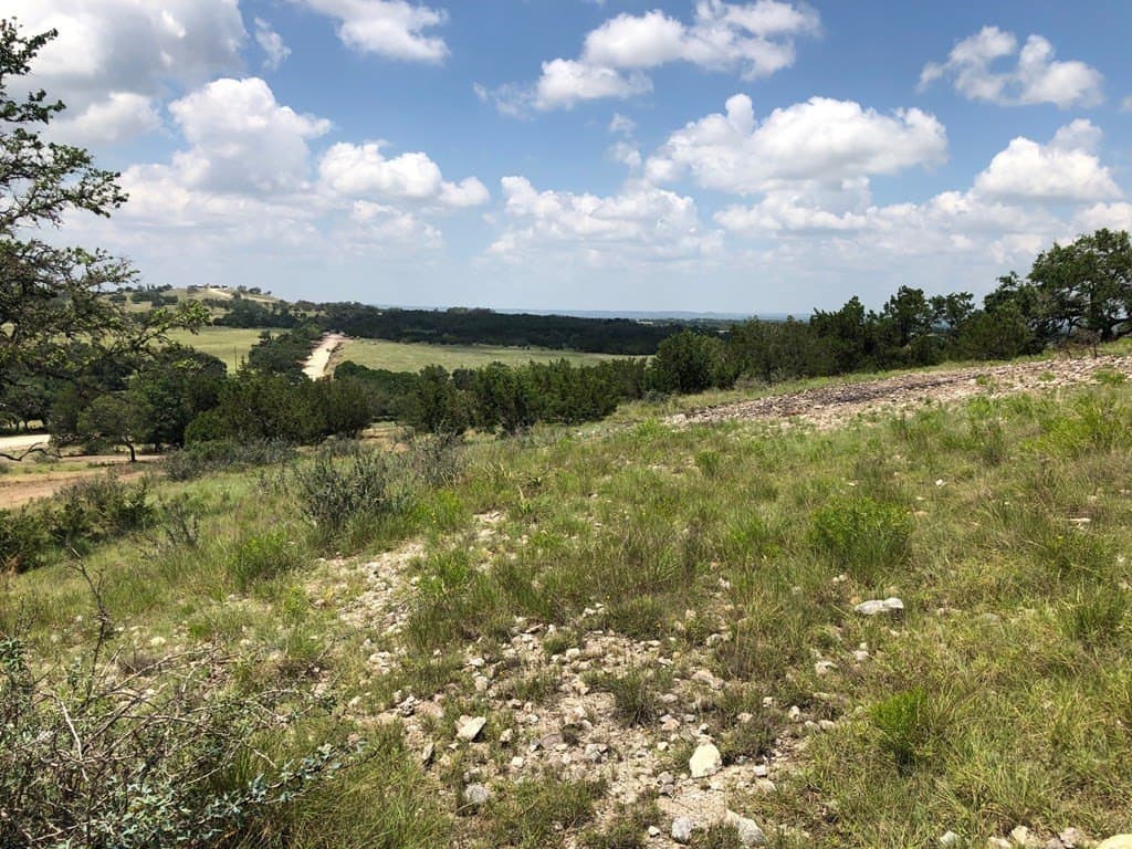 10.14 acres in Gillespie County gallery image 3