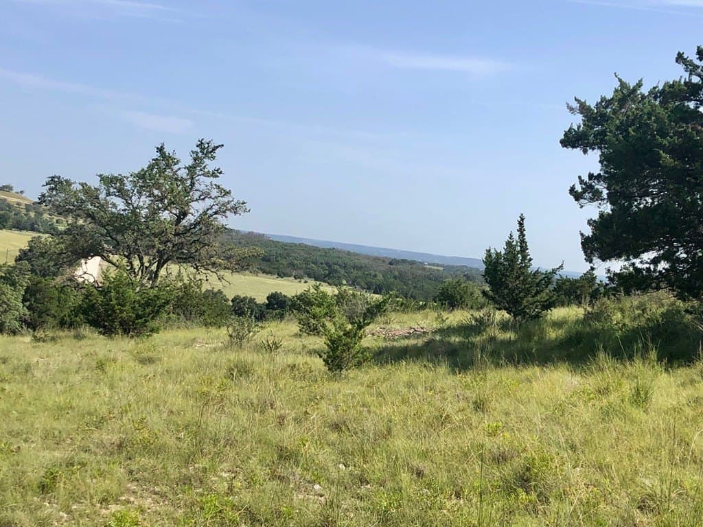 10.14 acres in Gillespie County - photo 6