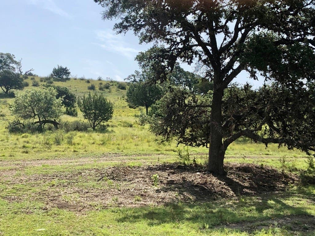 10.14 acres in Gillespie County - photo 8