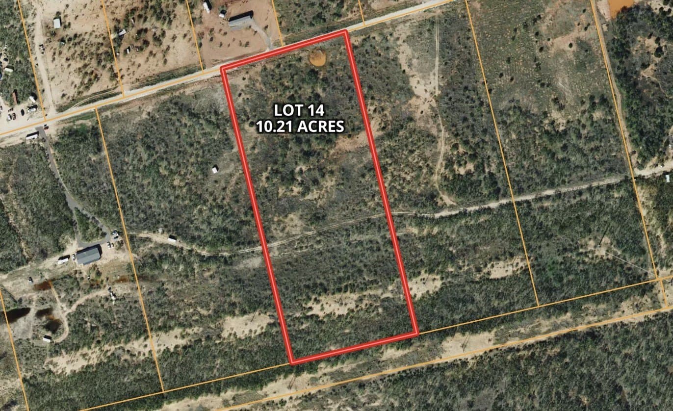 10.21 acres in Taylor County gallery image 3