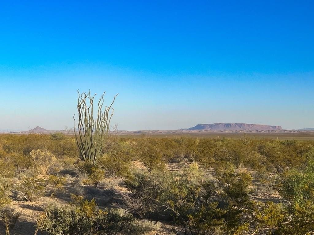 80.09 acres in Brewster County