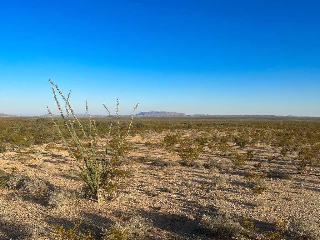 80.09 acres in Brewster County gallery image 2
