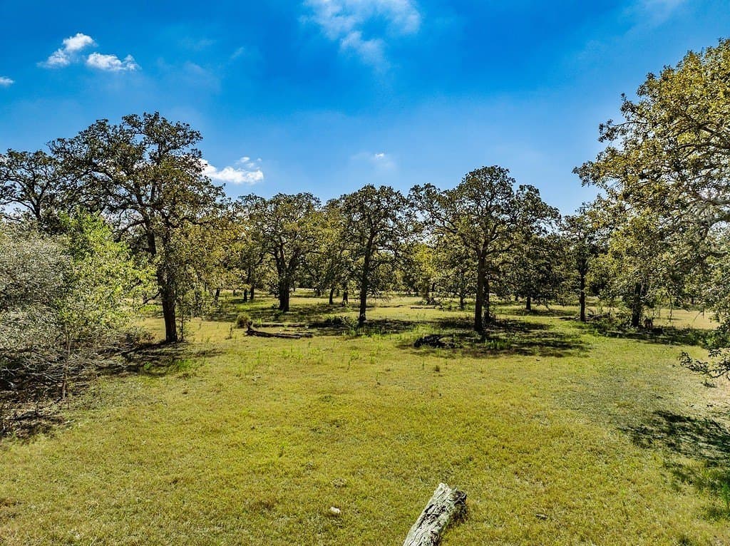 25.03 acres in Fayette County featured view