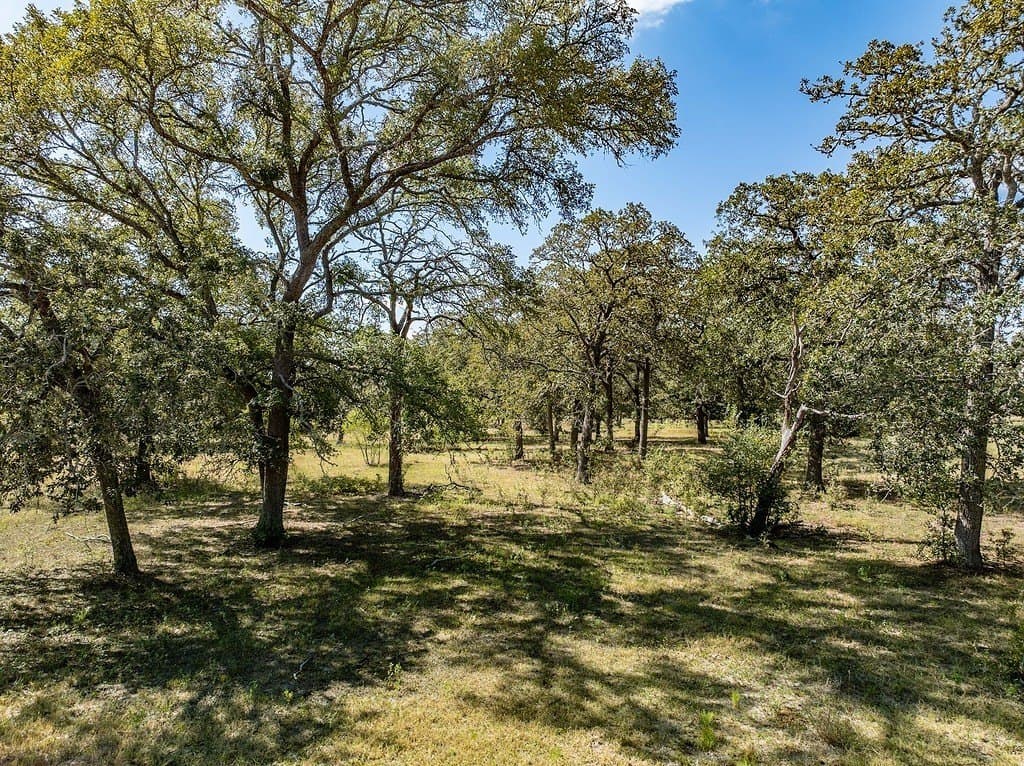 25.03 acres in Fayette County gallery image 3