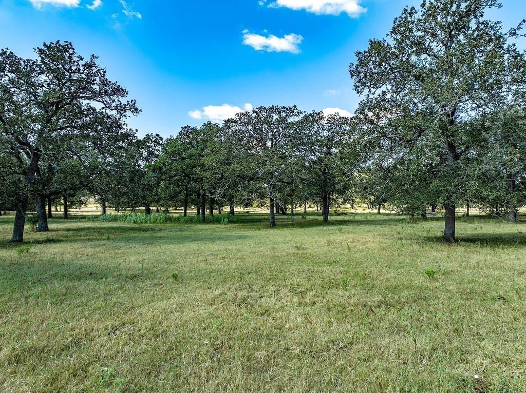 25.03 acres in Fayette County gallery image 2
