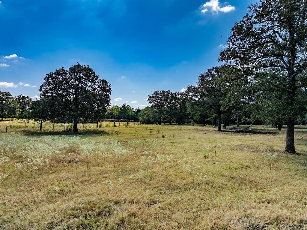 25.03 acres in Fayette County gallery image 4