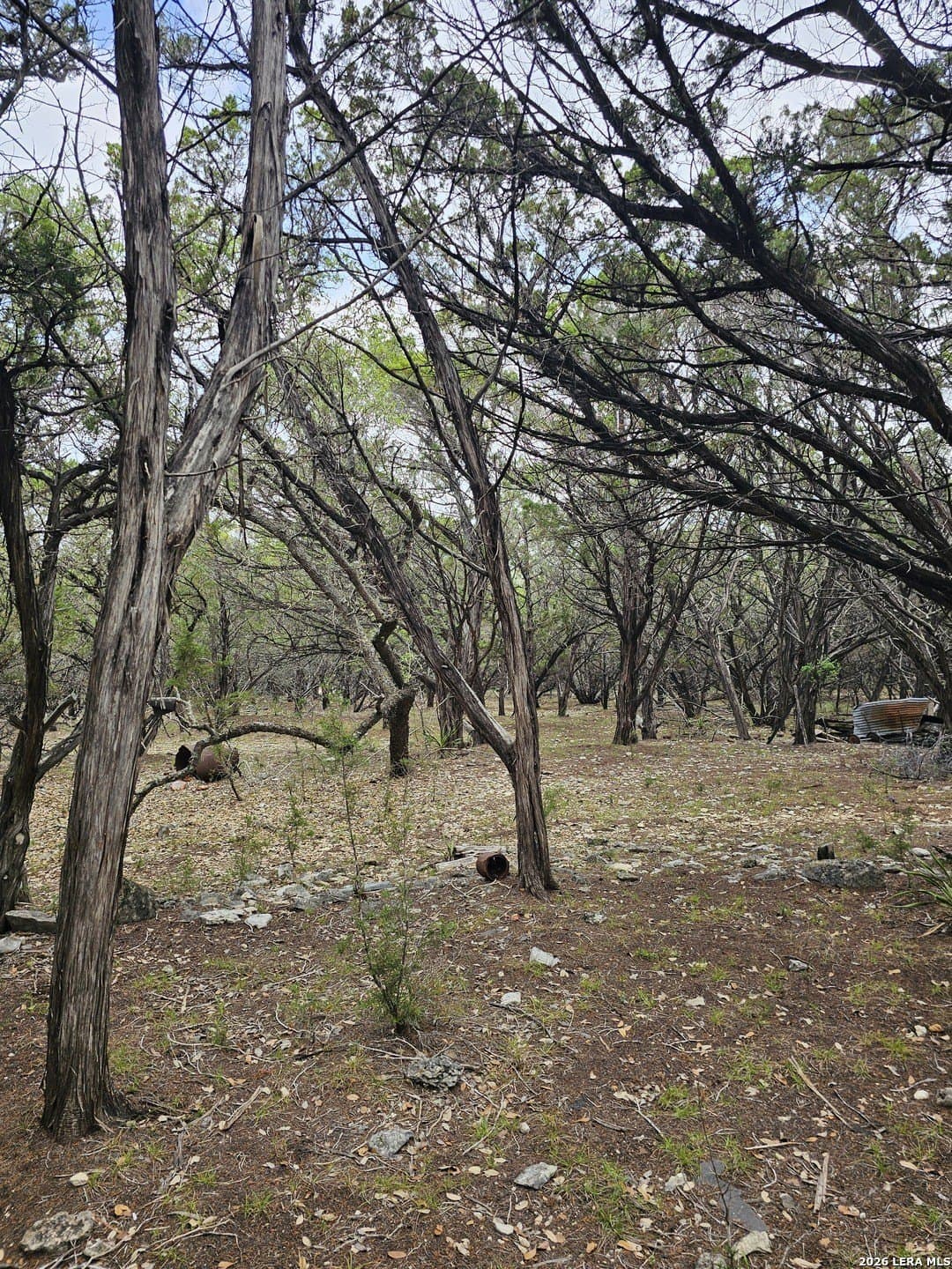 1.86 acres in Bandera County gallery image 4