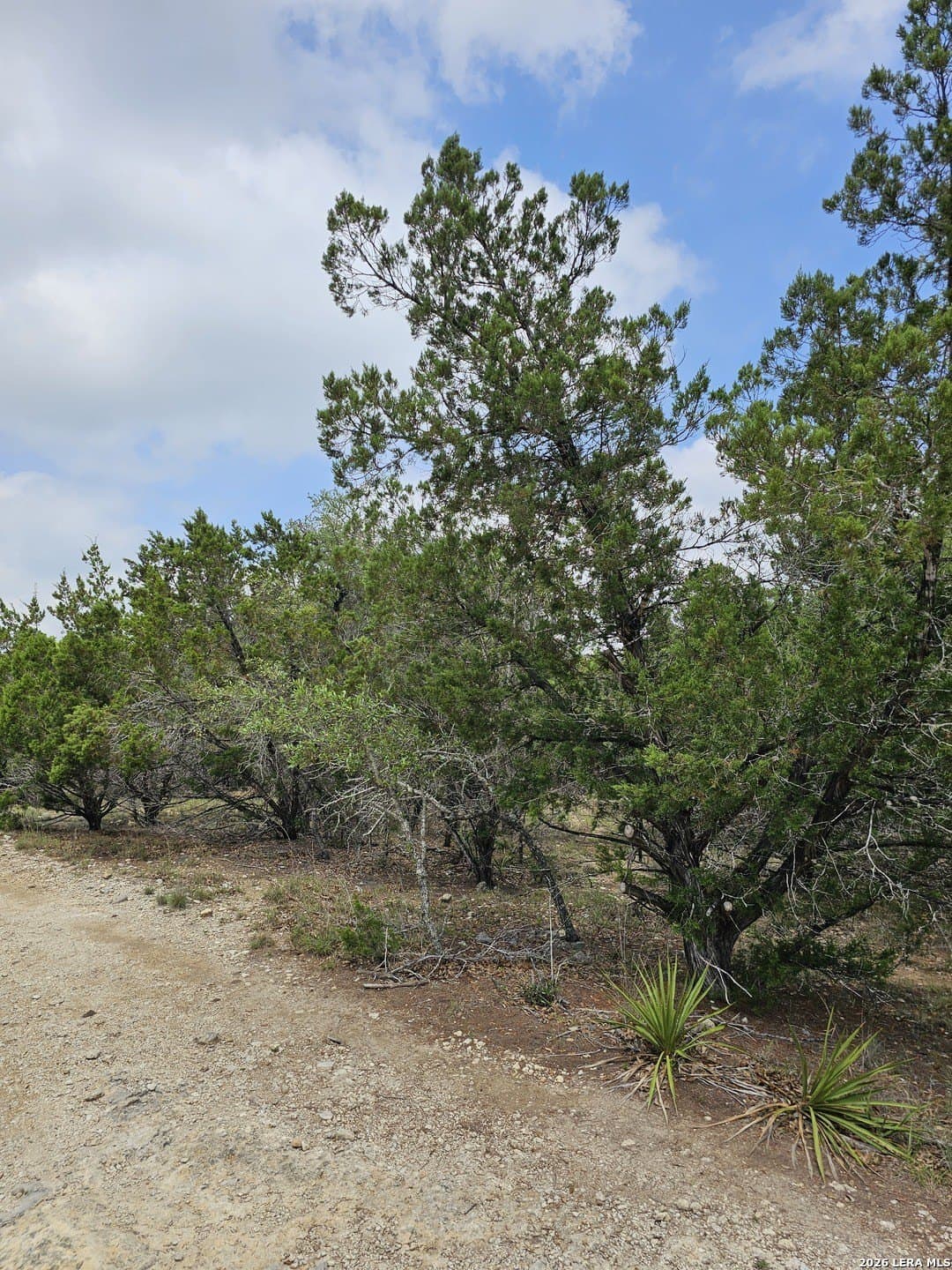 1.86 acres in Bandera County - photo 10