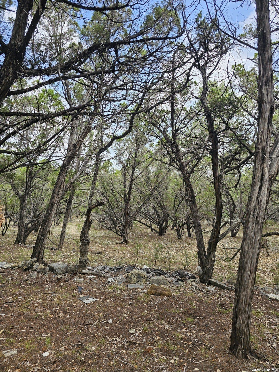 1.86 acres in Bandera County - photo 8