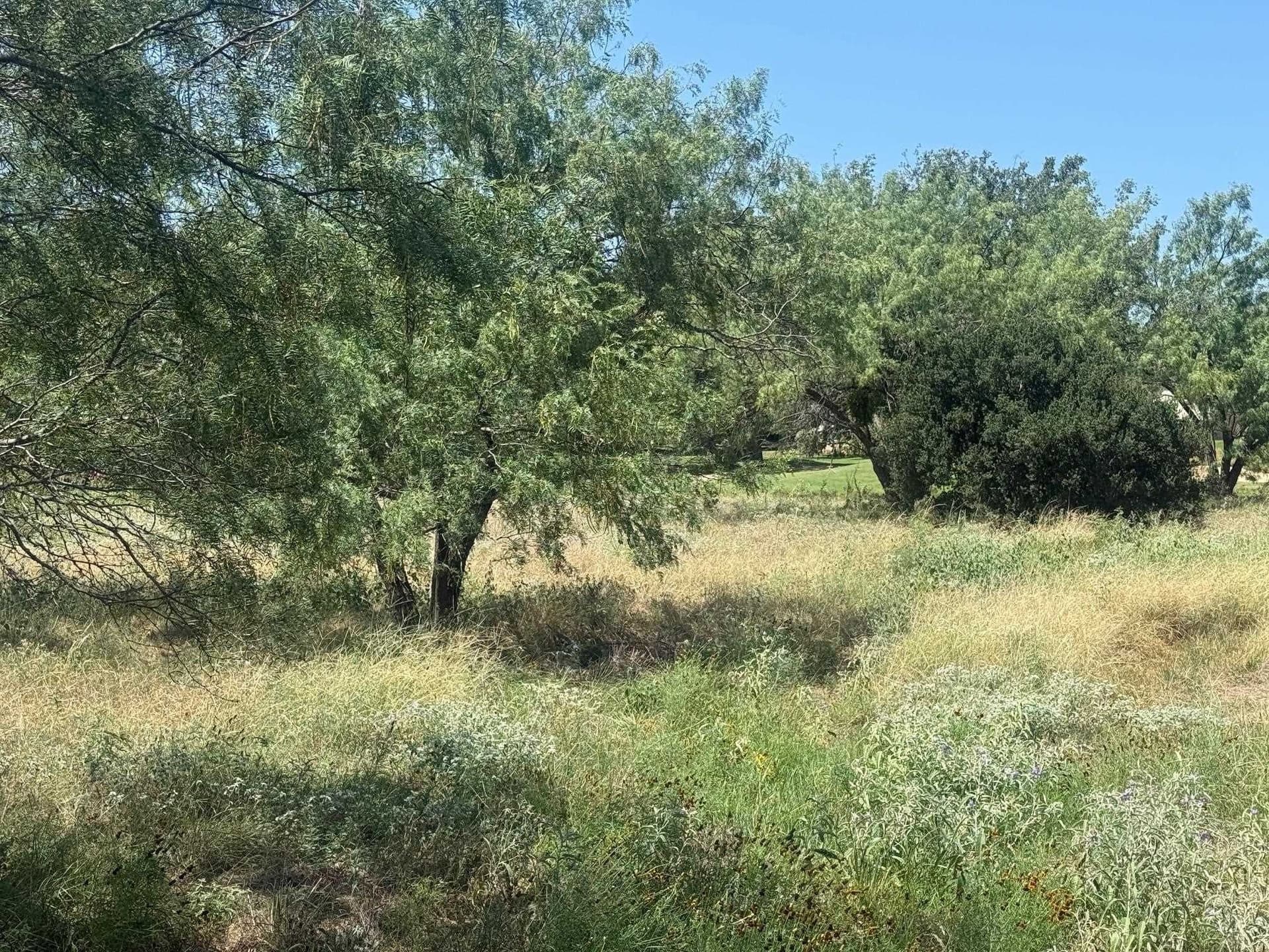 0.27 acres in Llano County - photo 10