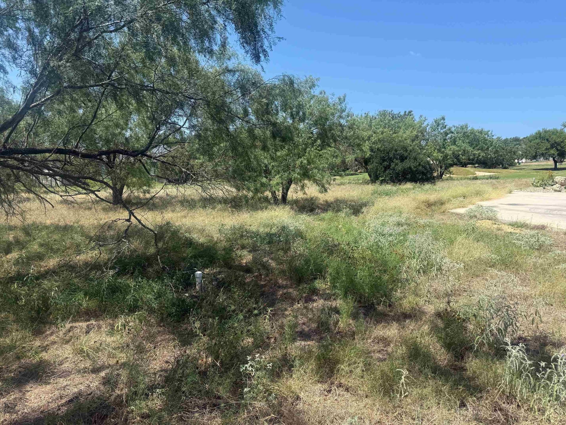 0.27 acres in Llano County - photo 9