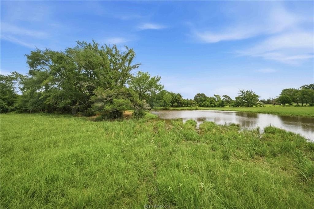 12.82 acres in Robertson County gallery image 3