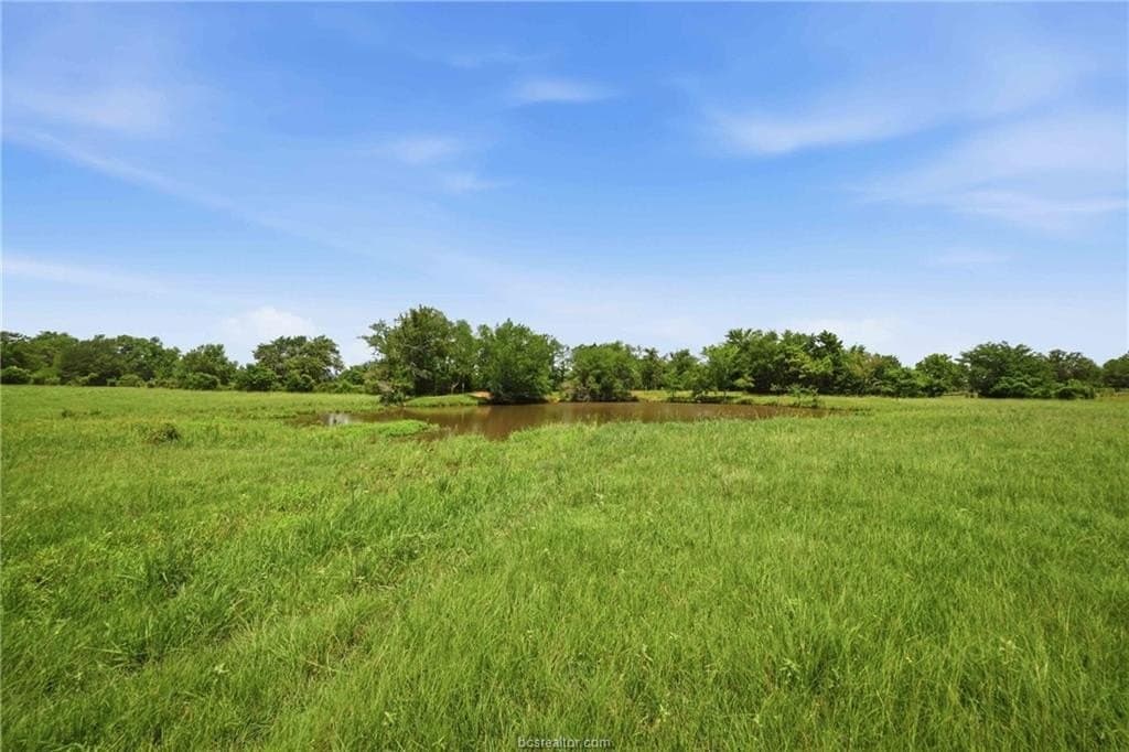12.82 acres in Robertson County gallery image 4