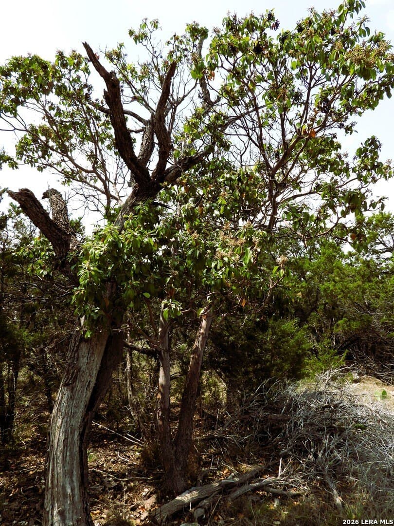 5 acres in Bandera County - photo 20