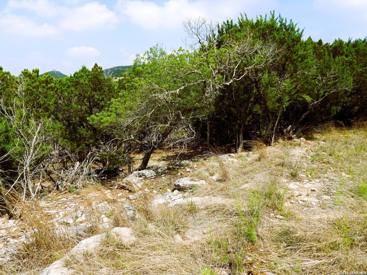 5 acres in Bandera County - photo 22