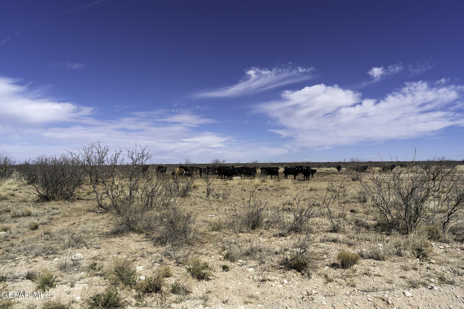 20 acres in Hudspeth County - photo 12