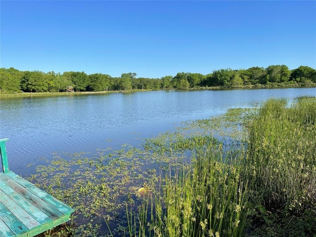 3 acres in Rains County featured view