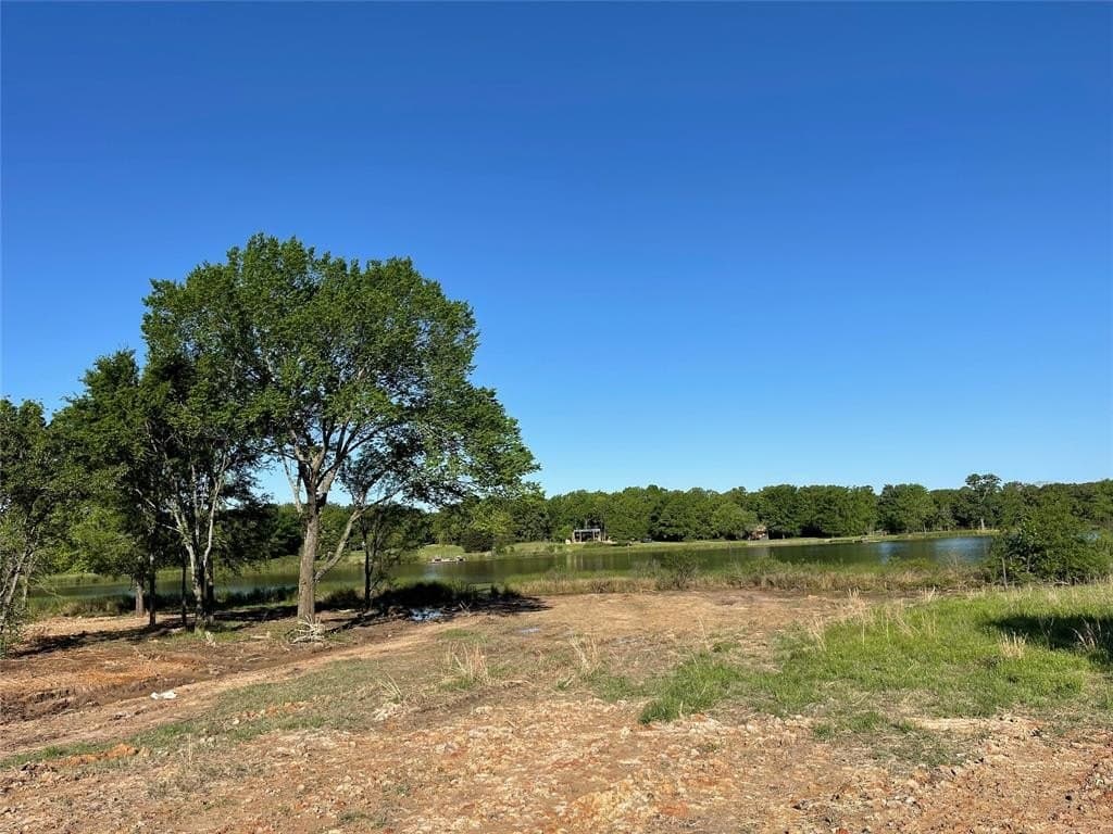 3 acres in Rains County gallery image 2