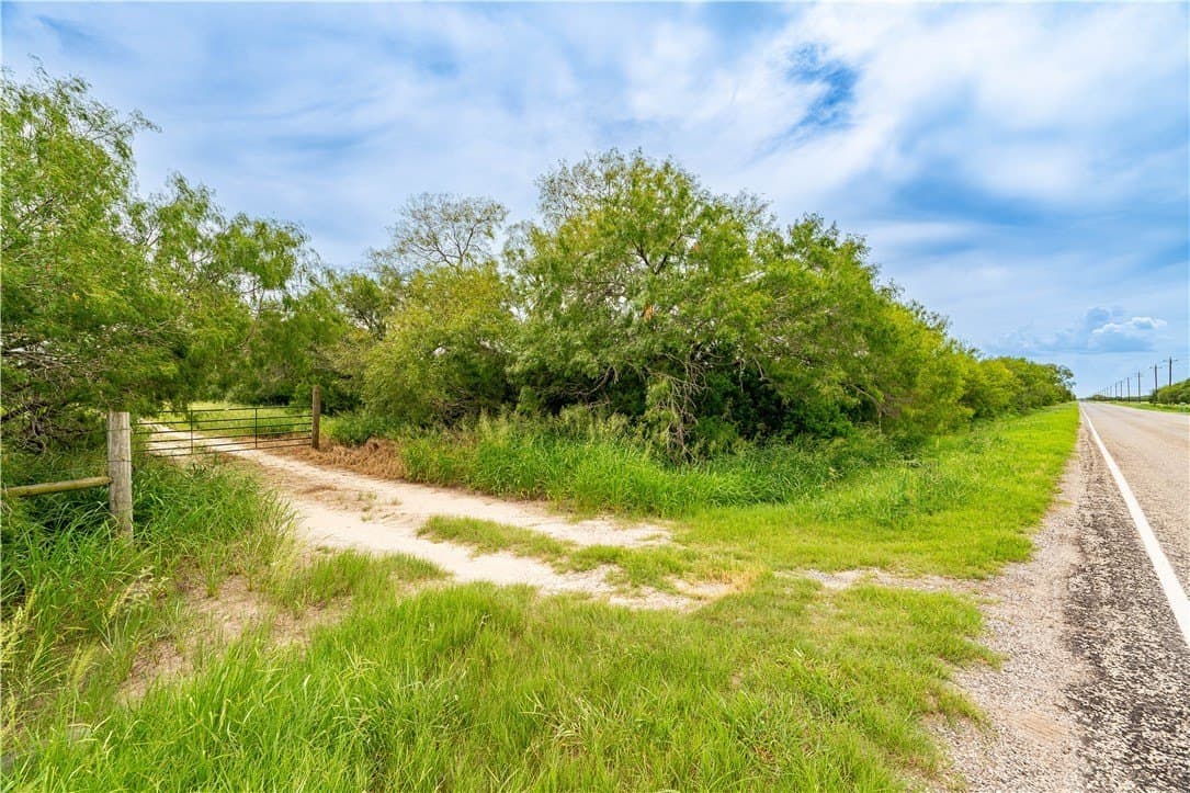 19.85 acres in Kleberg County gallery image 2