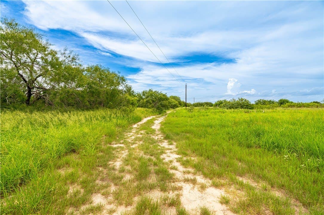 19.85 acres in Kleberg County featured view