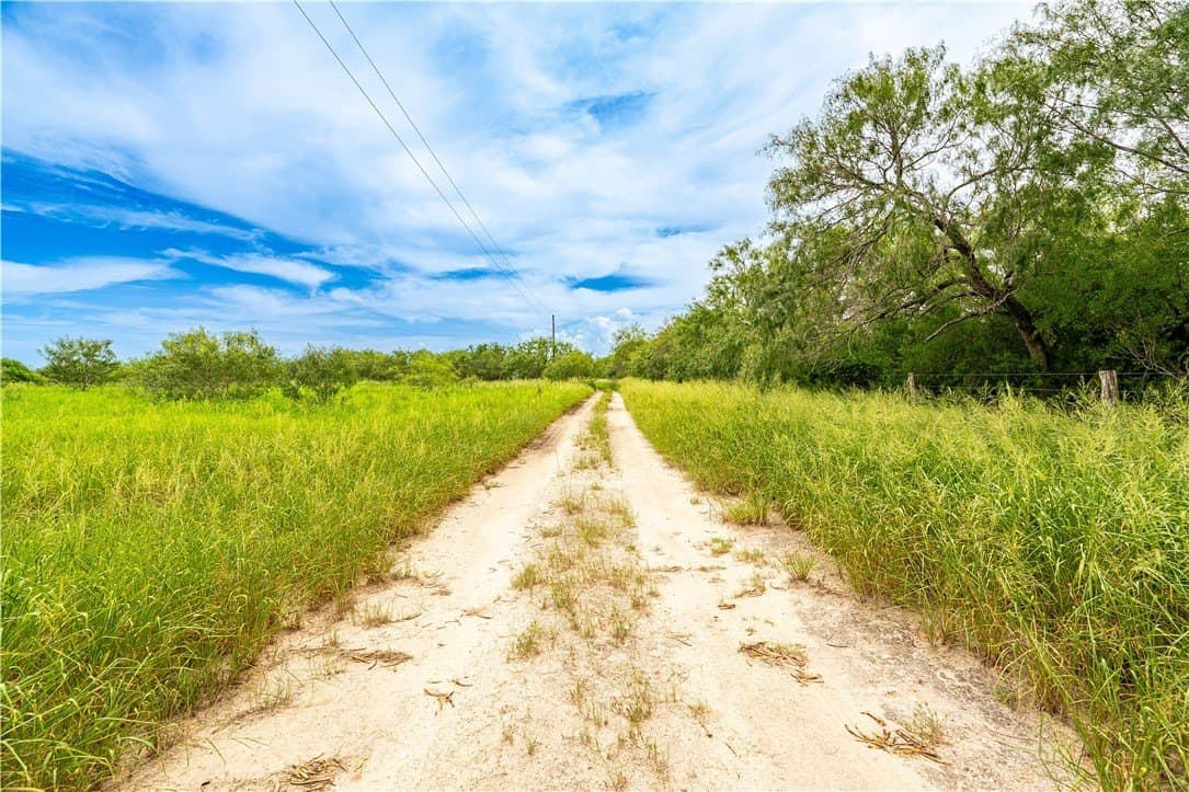 19.85 acres in Kleberg County gallery image 4