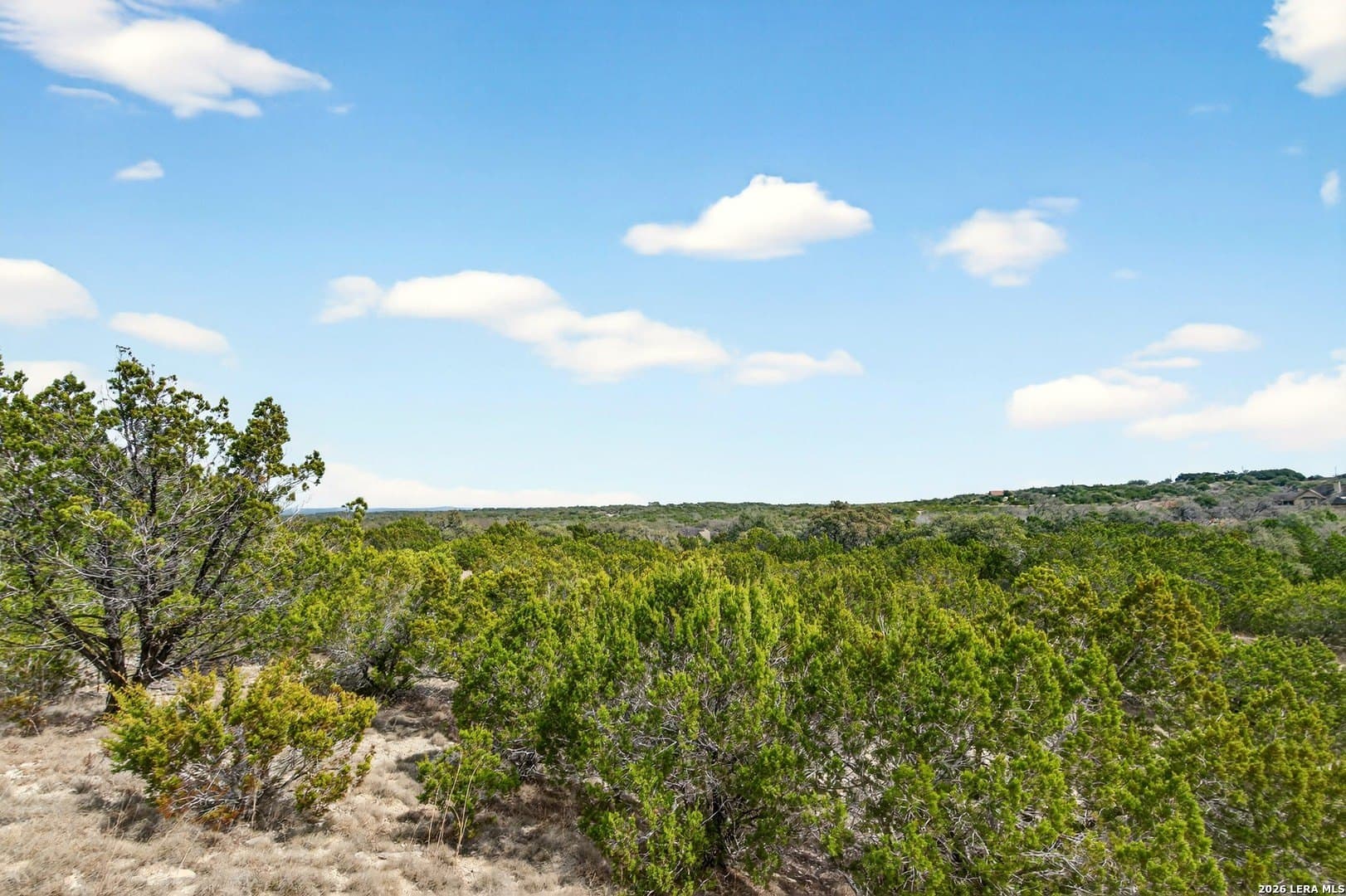 6.31 acres in Kendall County gallery image 2