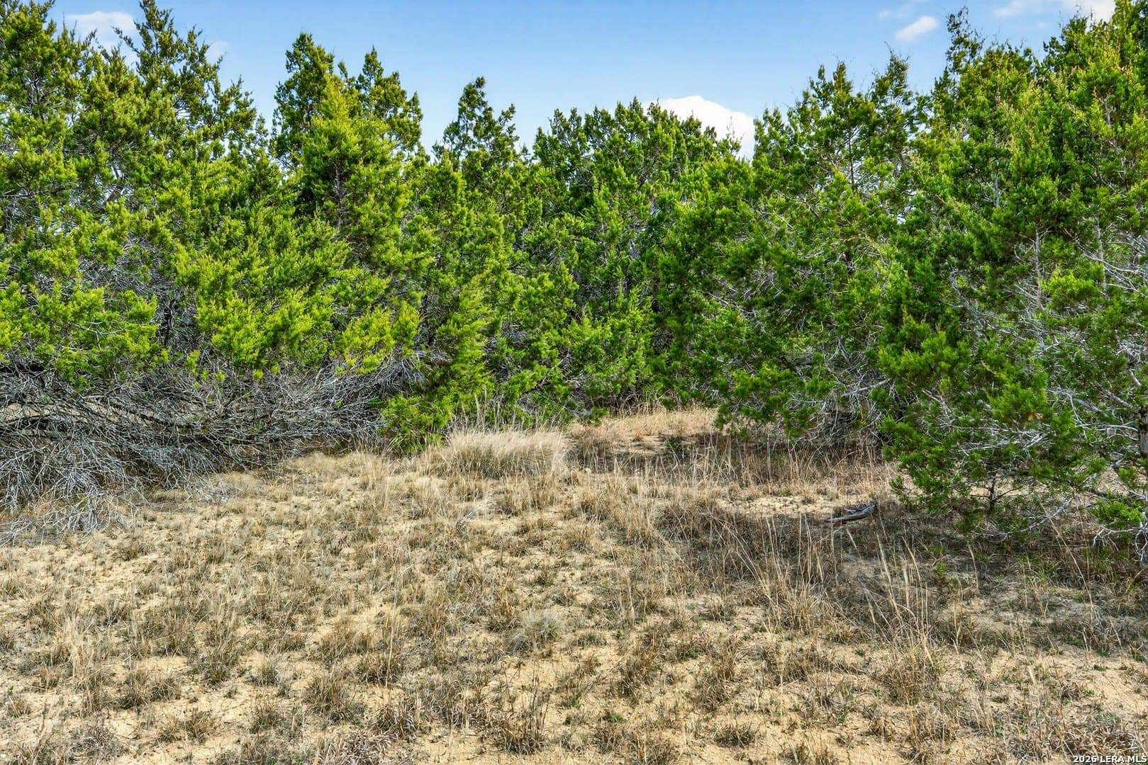 6.31 acres in Kendall County gallery image 3