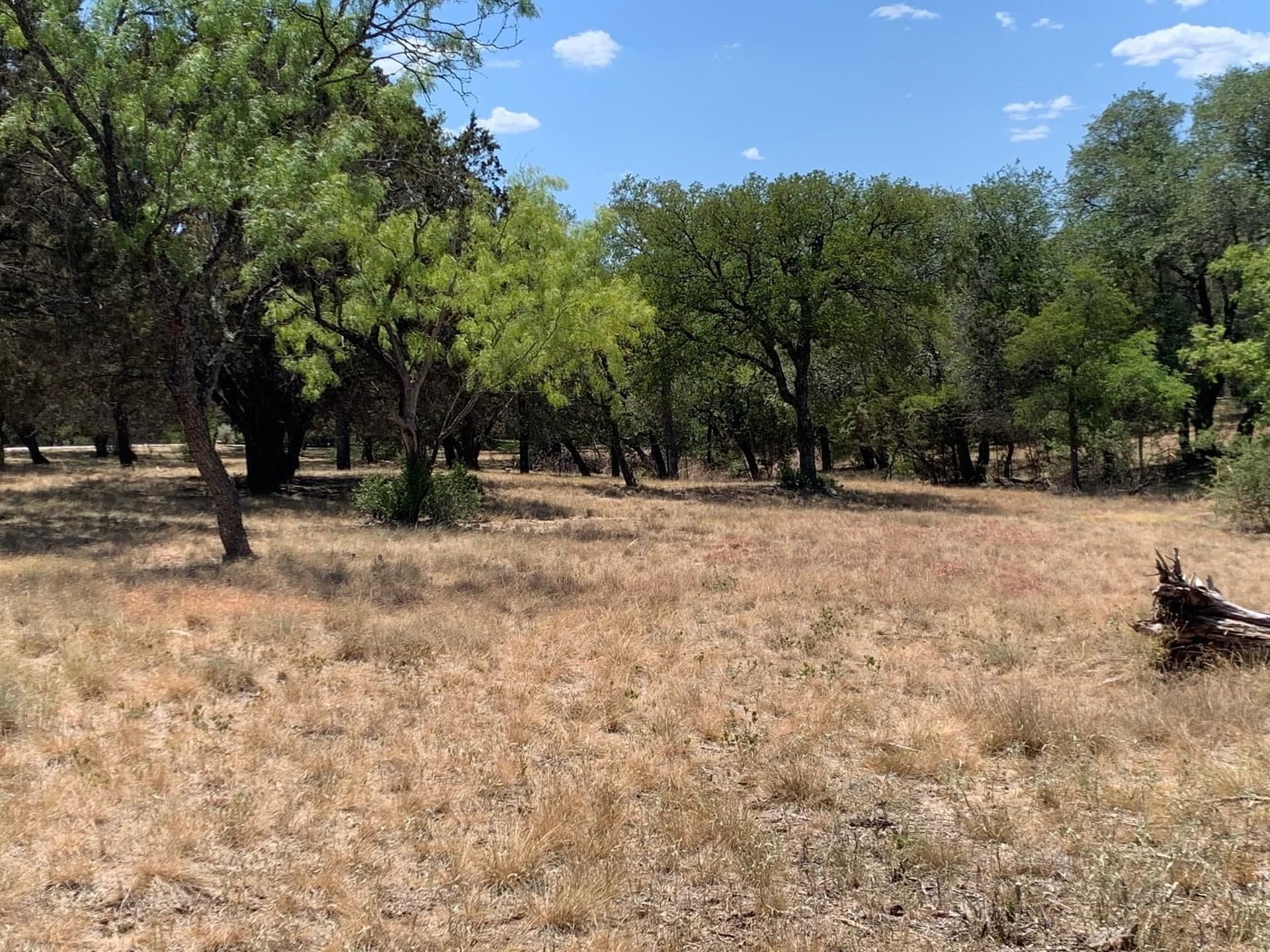0.37 acres in Llano County - photo 17