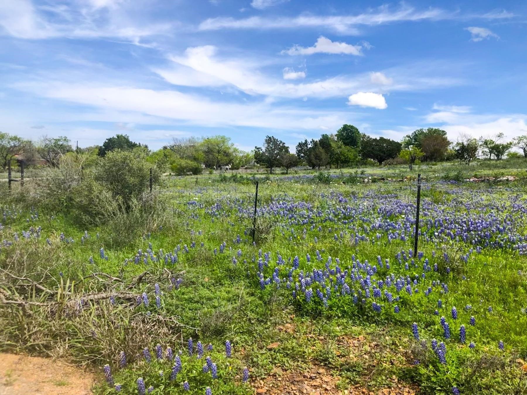 6.64 acres in Llano County - photo 14