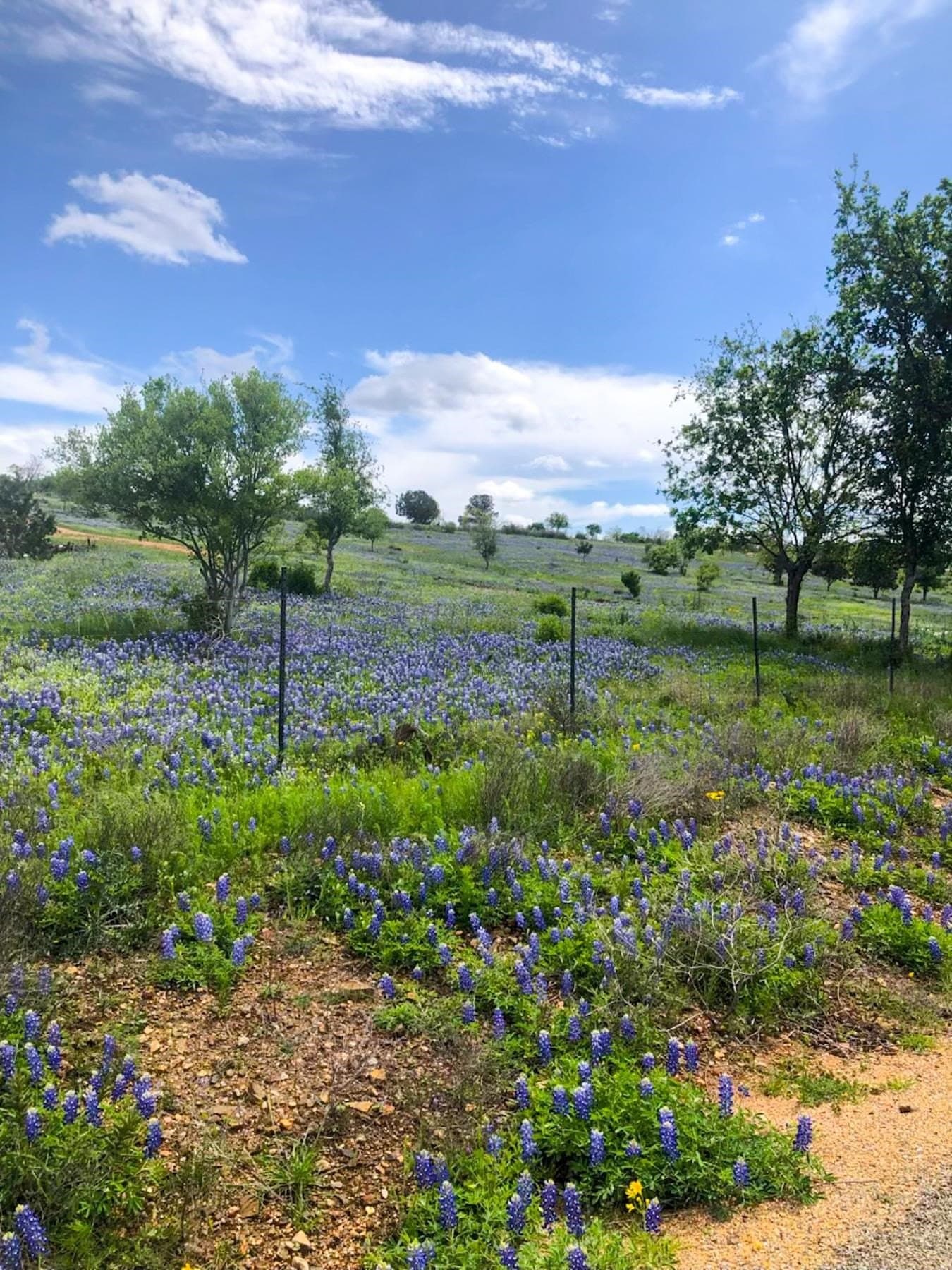 6.64 acres in Llano County - photo 11