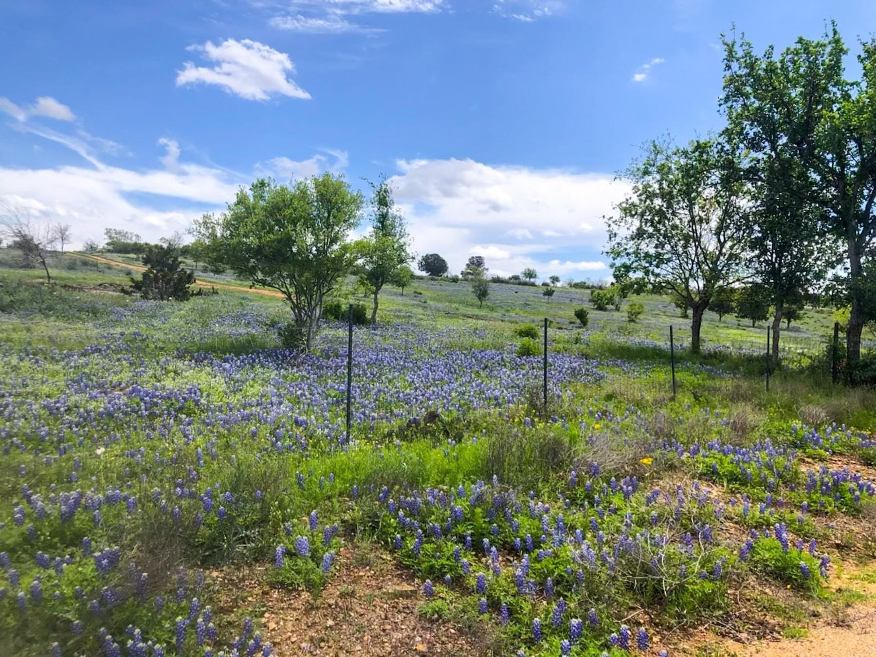 6.64 acres in Llano County - photo 13