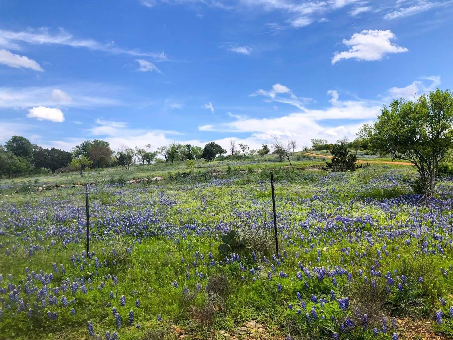 6.64 acres in Llano County - photo 12