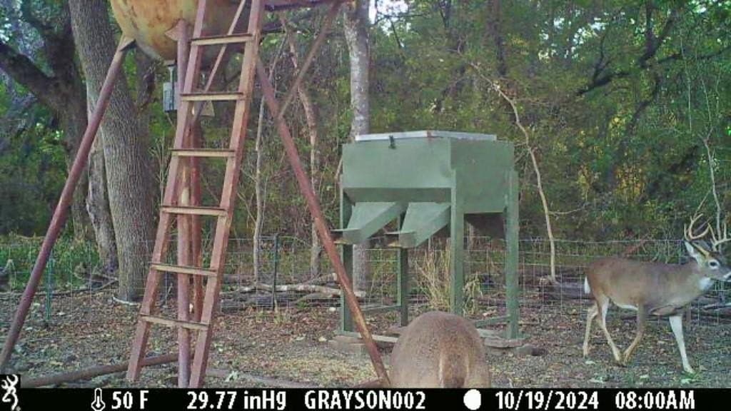 16.45 acres in Ellis County