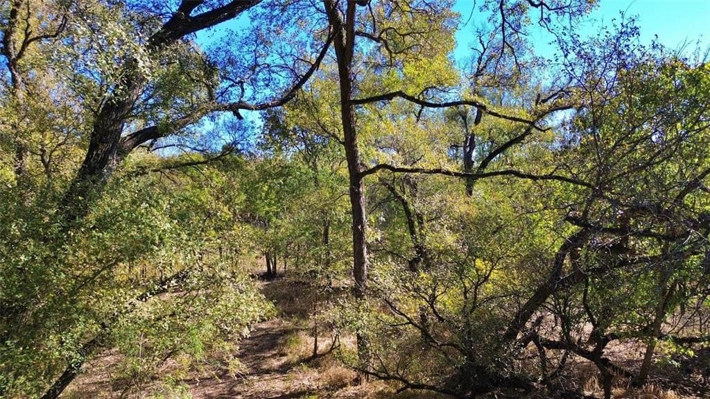 16.45 acres in Ellis County gallery image 4