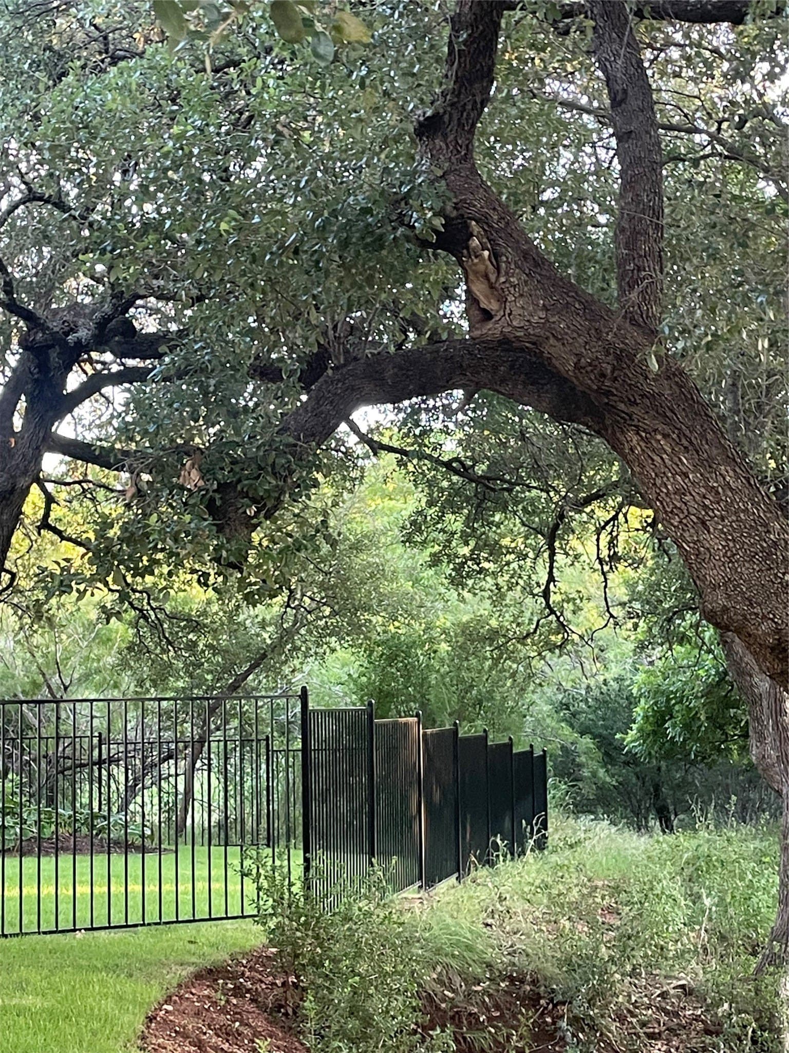 0.84 acres in Llano County - photo 12