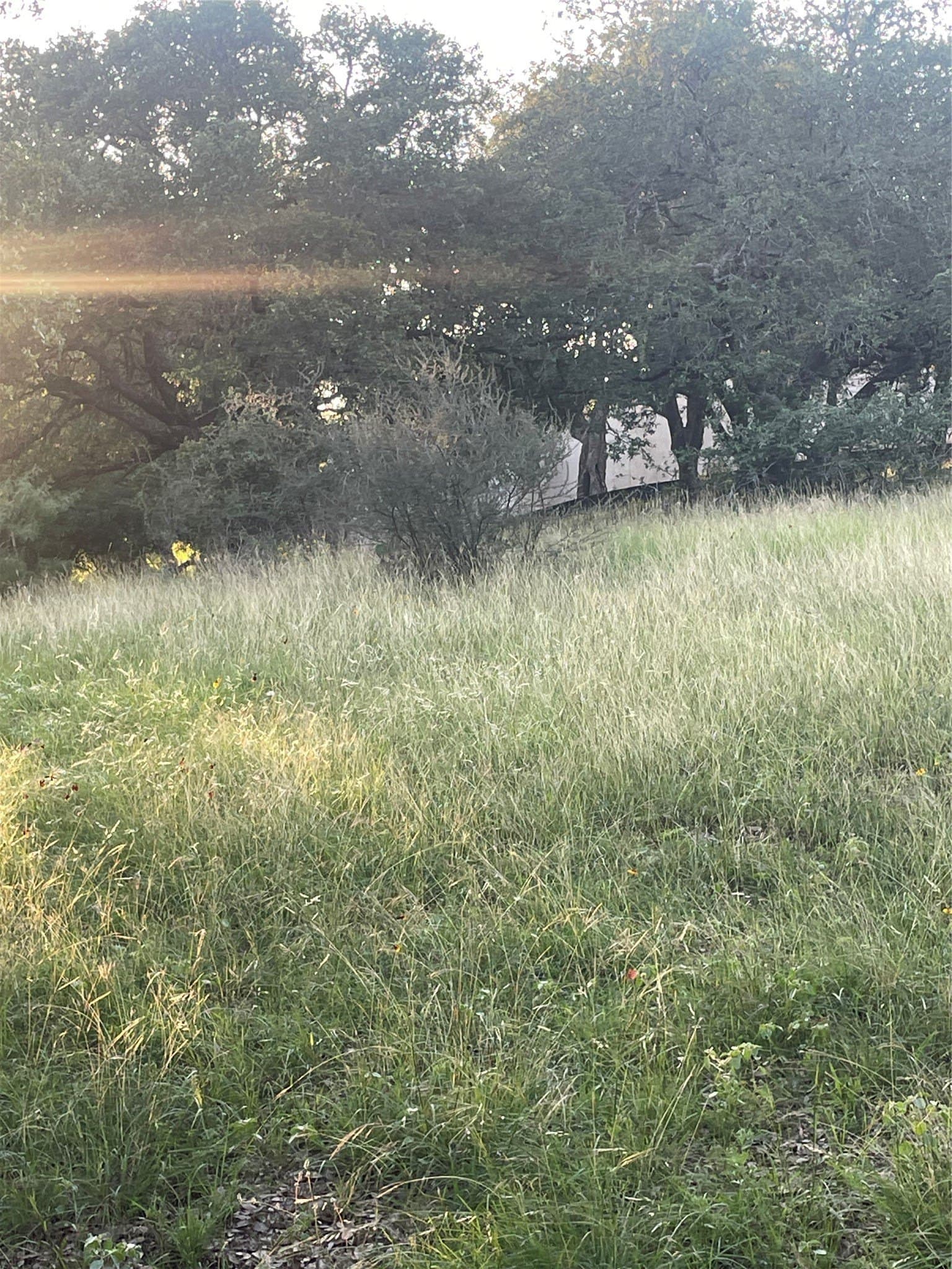 0.84 acres in Llano County - photo 11