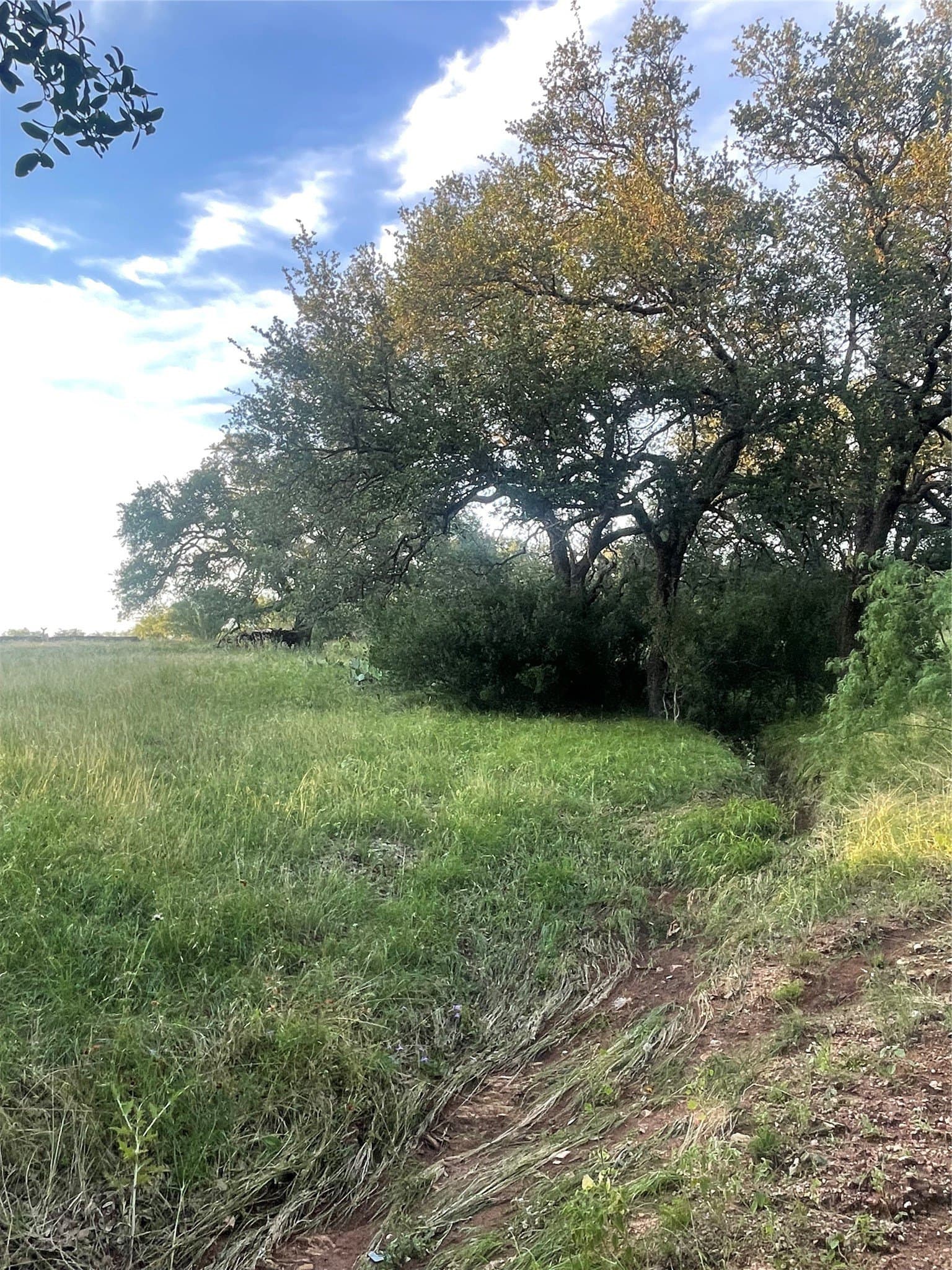0.84 acres in Llano County - photo 2
