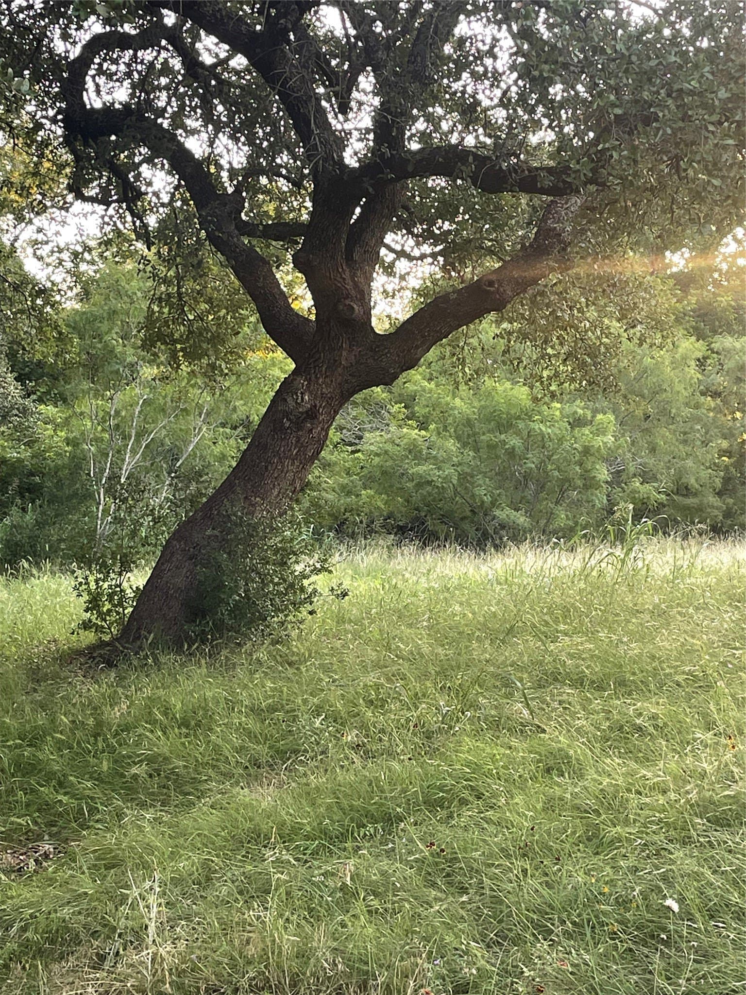 0.84 acres in Llano County - photo 10