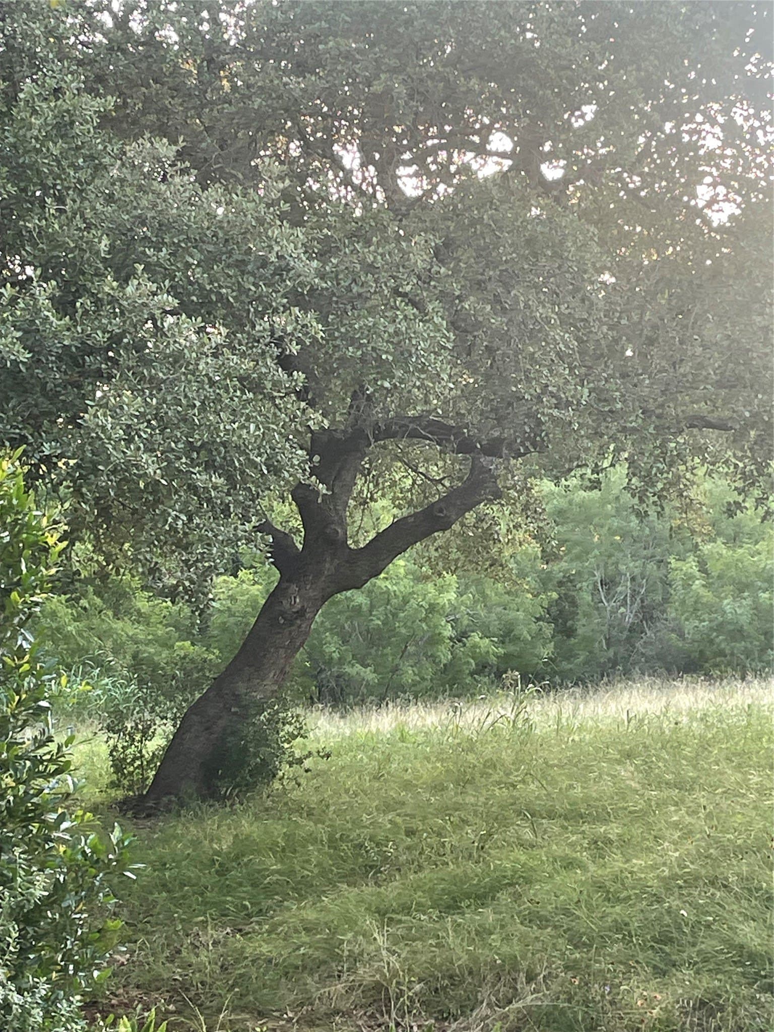 0.84 acres in Llano County - photo 8
