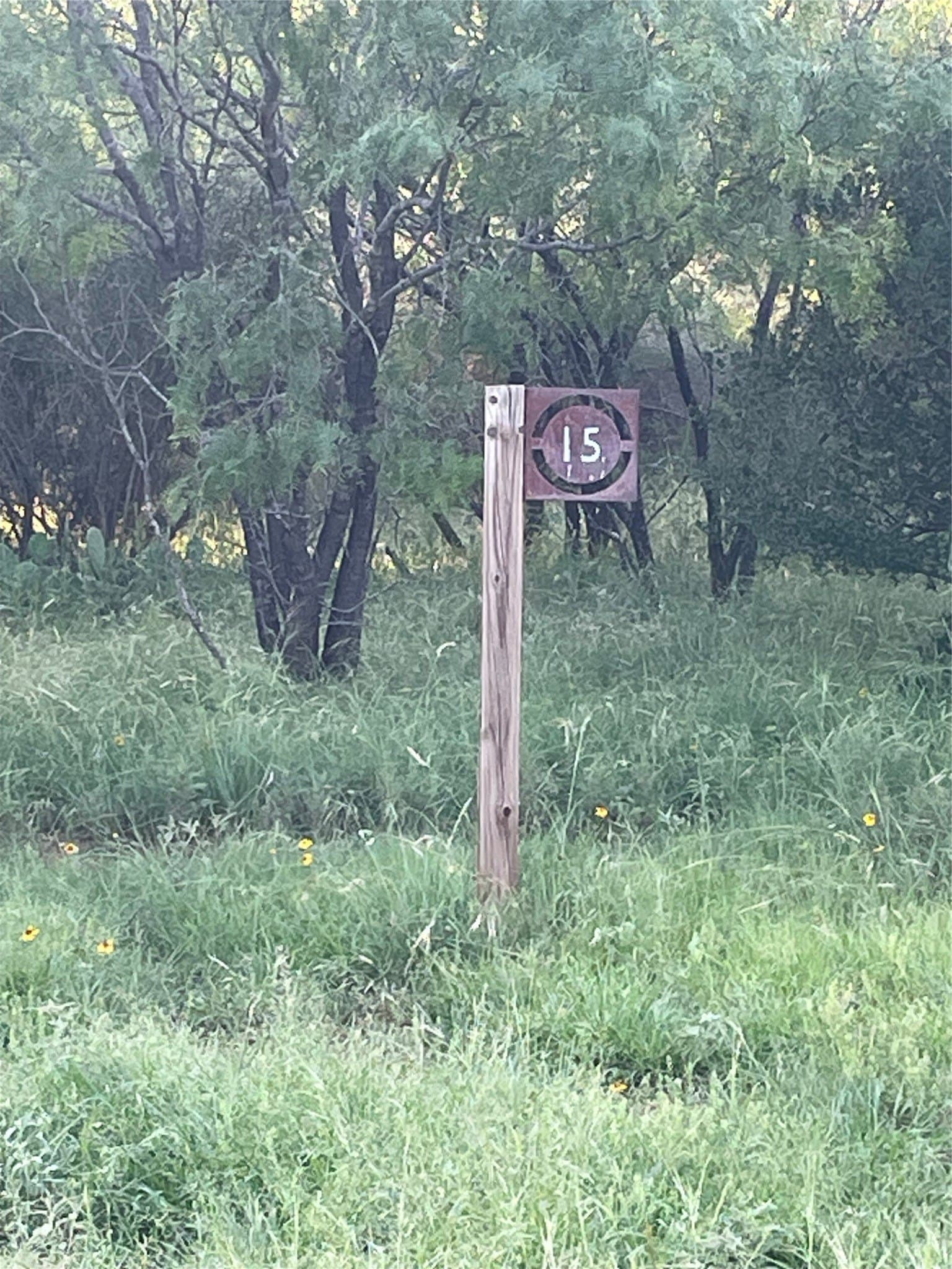 0.84 acres in Llano County - photo 3